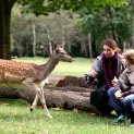 Tierisches – haben Sie Spaß!